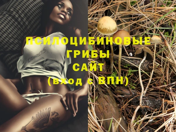 дживик Абинск
