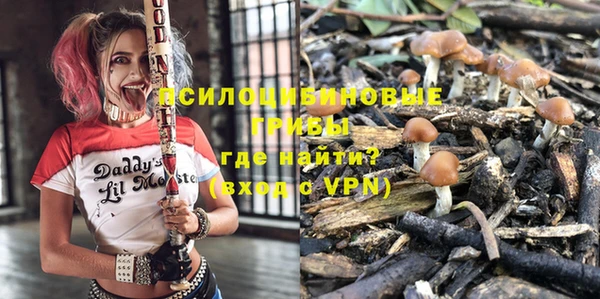 дживик Абинск