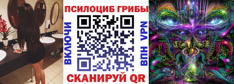 mega   Советская Гавань  Галлюциногенные грибы Magic Shrooms  где можно купить наркотик 