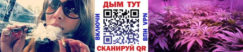 наркотики  Советская Гавань  Канабис OG Kush 